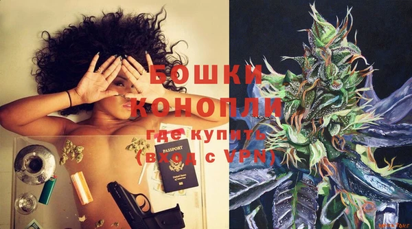прущие крисы Новозыбков