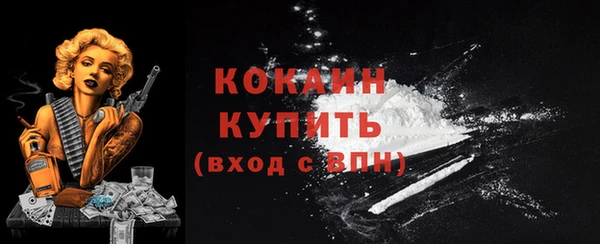 альфа пвп Новодвинск