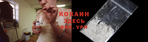 альфа пвп Новодвинск