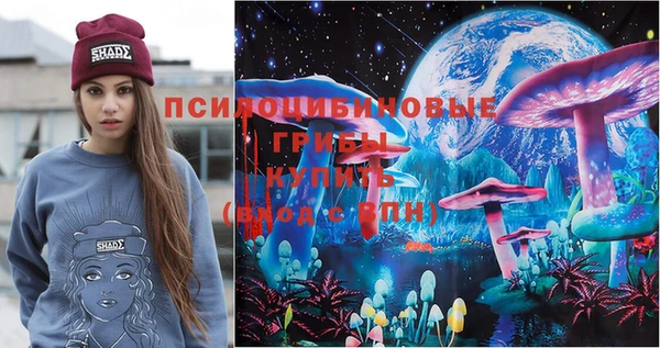 прущие крисы Новозыбков