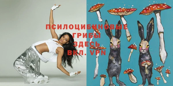 стафф Нягань
