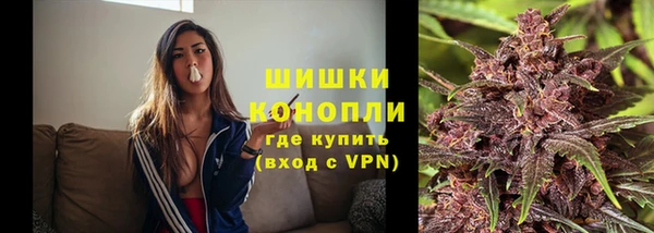 прущие крисы Новозыбков