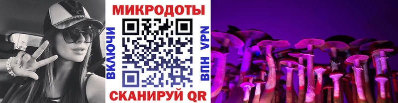 где купить наркоту  KRAKEN сайт  Псилоцибиновые грибы Psilocybe  Сухиничи 