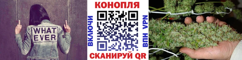 Бошки марихуана Ganja что такое Сухиничи